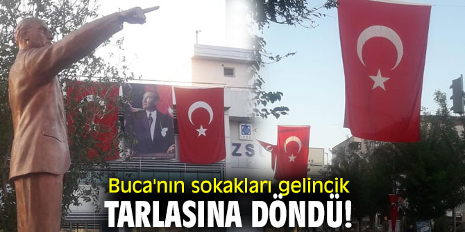 Buca'nın sokakları gelincik tarlasına döndü!