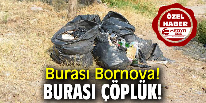 Burası Bornova! Burası Çöplük!