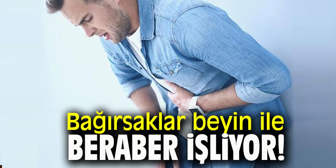 Bağırsaklar beyin ile beraber işliyor