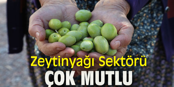 Zeytinyağı sektörü çok mutlu