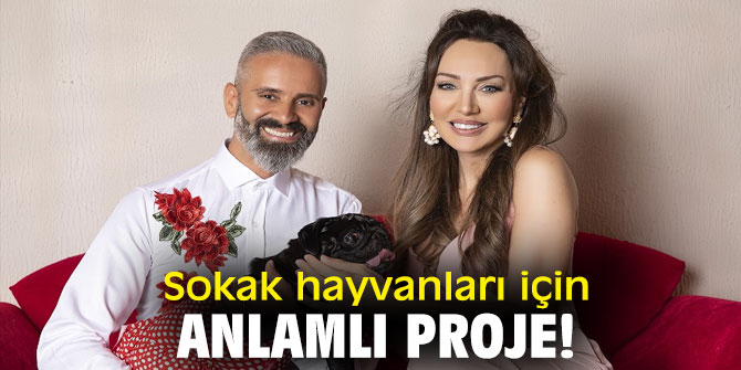 Sokak hayvanları için anlamlı proje!
