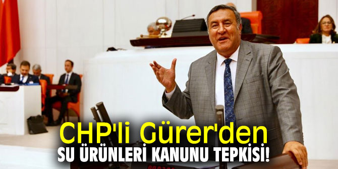 CHP'li Gürer'den Su Ürünleri Kanunu tepkisi!