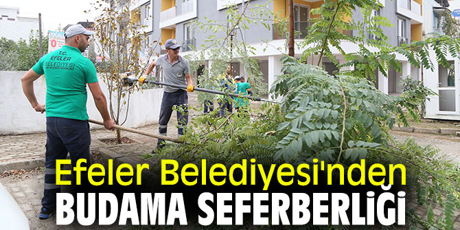 Efeler Belediyesi'nden budama seferberliği