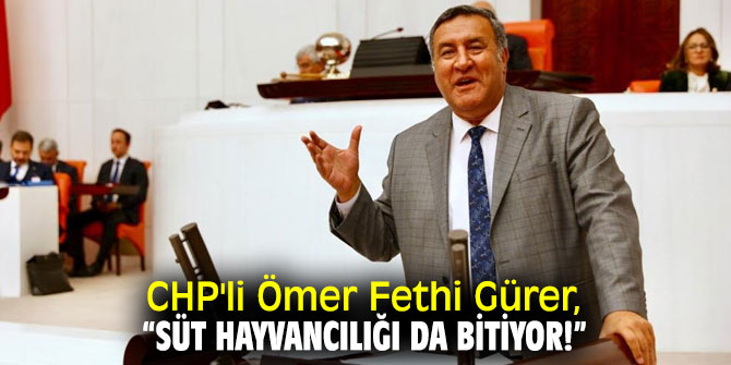 CHP'li Gürer, süt inekçiliği yapanların sorunlarına dikkat çekti!