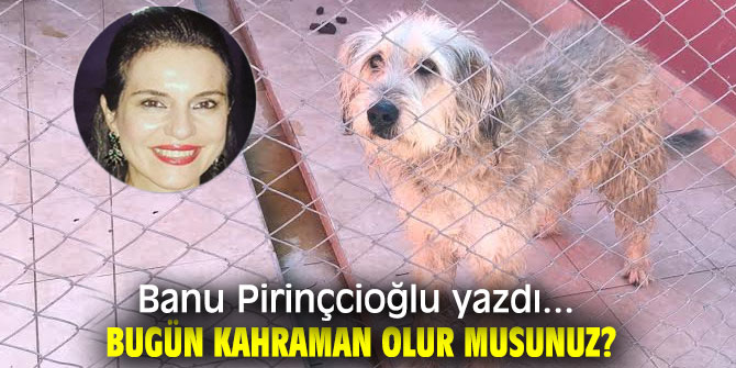 BUGÜN KAHRAMAN OLUR MUSUNUZ?