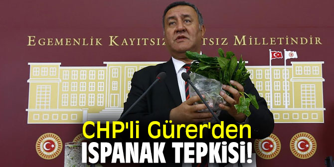 CHP'li Gürer'den Ispanak tepkisi!