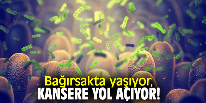 Dikkat! Bağırsakta yaşıyor, kansere yol açıyor!