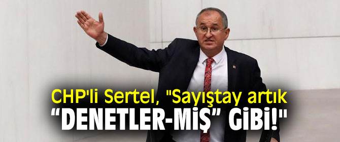 CHP'li Serter'den Sayıştay tepkisi!