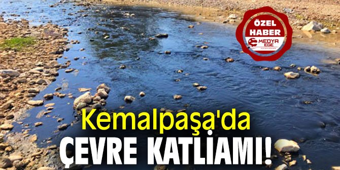 Kemalpaşa'da çevre katliamı!