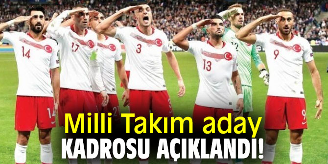 A Milli Futbol Takımı'nın aday kadrosu açıklandı!