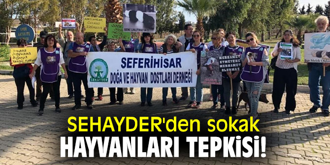 SEHAYDER'den sokak hayvanları tepkisi!