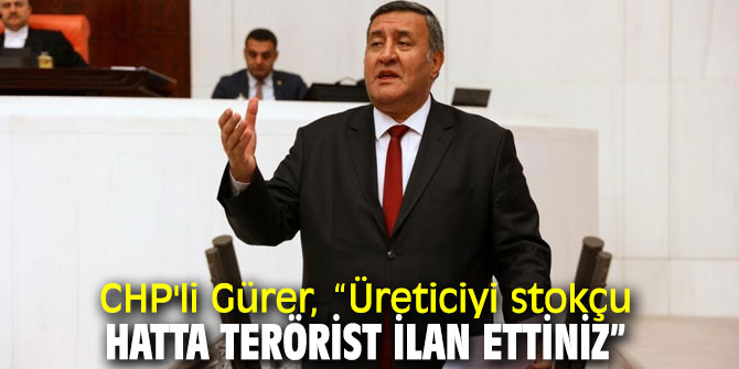 CHP'li Gürer'den Bakan Pekcan'a baskın sorusu