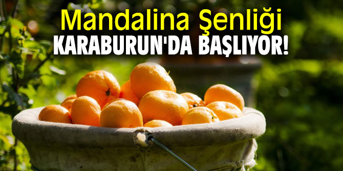 Mandalina Şenliği, Karaburun'da başlıyor!