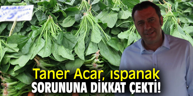 Taner Acar, ıspanak sorununa dikkat çekti!