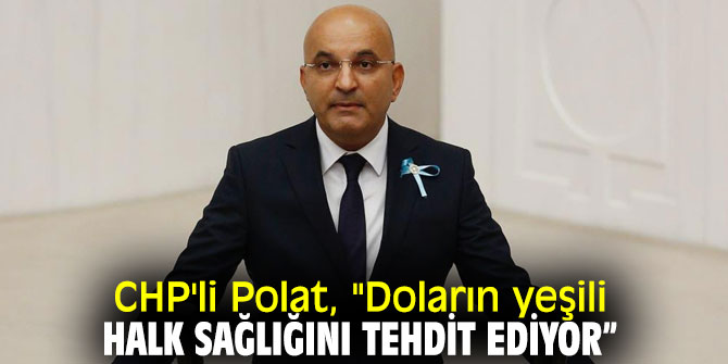 CHP'li Polat, "Doların yeşili halk sağlığını tehdit ediyor”