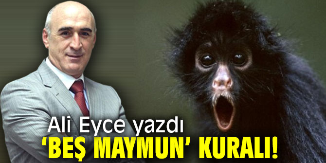 ‘Beş Maymun’ Kuralı!