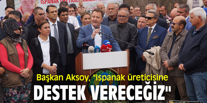 Başkan Aksoy, "Ispanak üreticisine destek vereceğiz"