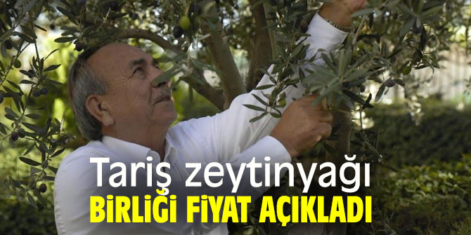 Tariş zeytinyağı fiyatını belirledi…