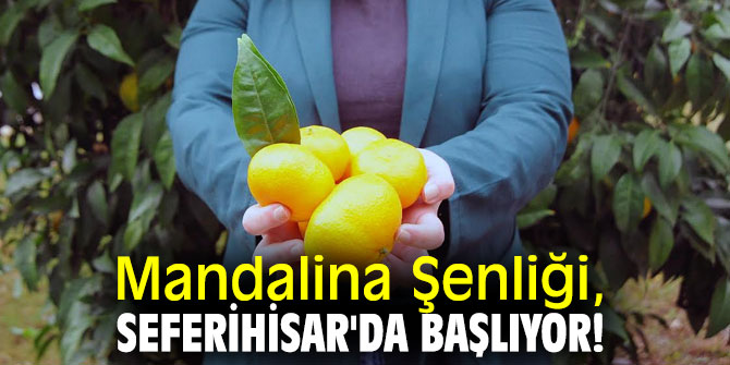 Mandalina Şenliği, Seferihisar'da başlıyor!