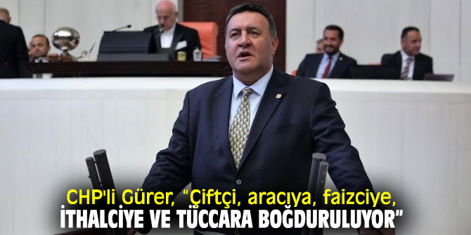 CHP'li Gürer, çiftçi ve besicinin sorunlarına değindi