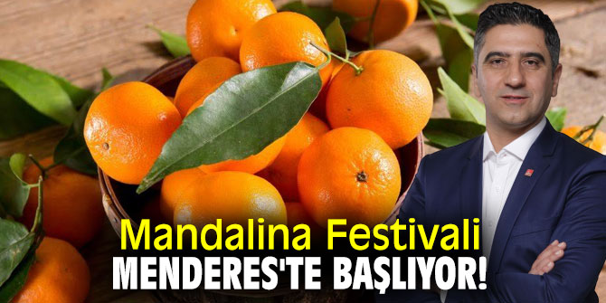 Mandalina Festivali Menderes'te başlıyor!