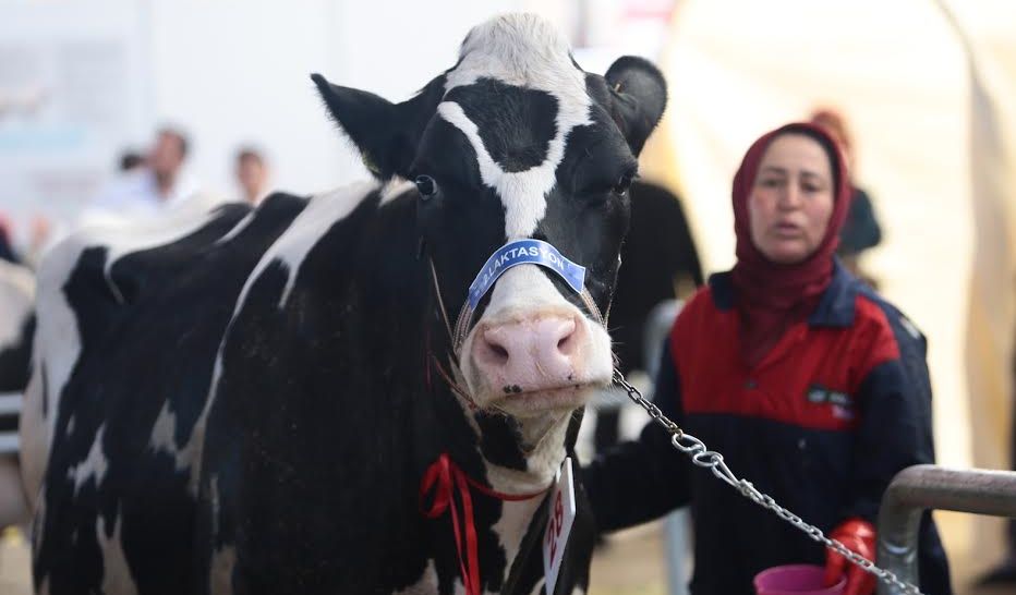 Kırmızı et liginde Aydın çıkarması
