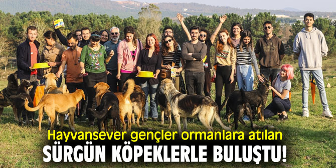Hayvansever gençler ormanlara atılan sürgün köpeklerle buluştu!