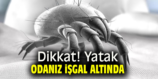 Dikkat! Yatak odanız işgal altında
