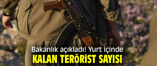 Bakanlık açıkladı! Yurt içinde kalan terörist sayısı