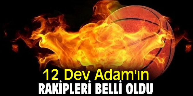 İşte 12 Dev Adam'ın rakipleri