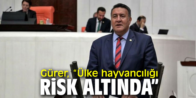 CHP'li Gürer, hayvancılığa dikkat çekti!