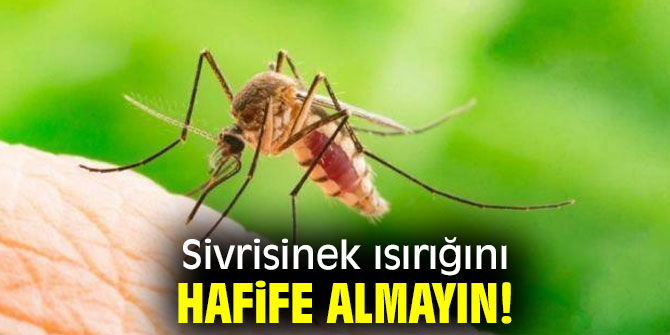 Sivrisinek ısırığını hafife almayın! Ölümcül olabilir