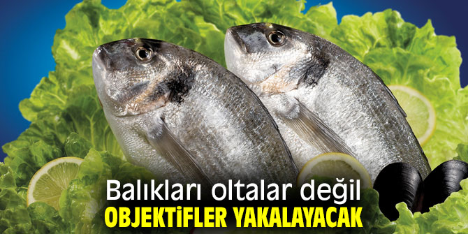 İhracatın yıldızı objektifin de yıldızı olacak!