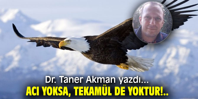ACI YOKSA, TEKAMÜL DE YOKTUR!..