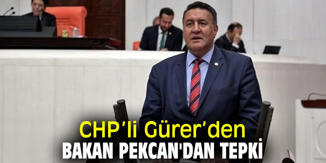 CHP’li Gürer’den Bakan Pekcan'dan tepki