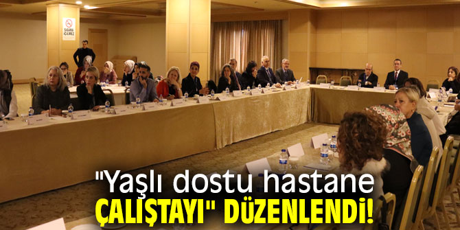 Bayındır İçerenköy hastanesinden yaşlı dostu hastane çalıştayı!