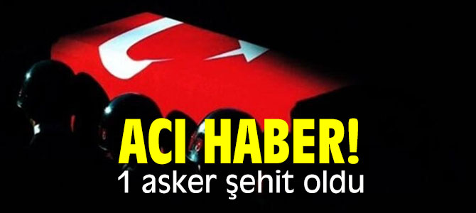 Bakanlık duyurdu! Acı haber geldi