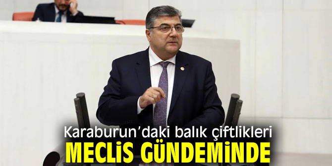 Karaburun’daki balık çiftlikleri Meclis gündeminde!