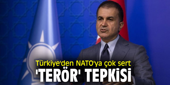 AK Partili Çelik'ten 'Terör' tepkisi