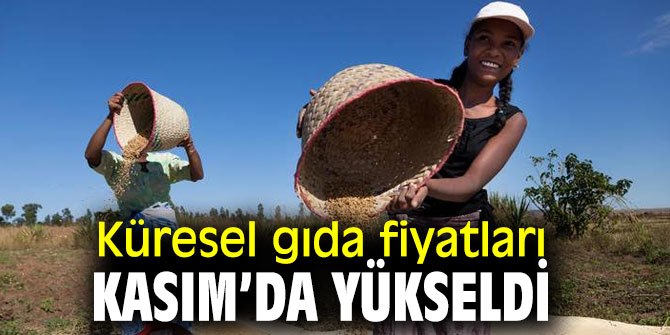 Küresel gıda fiyatları Kasım’da yükselişte!
