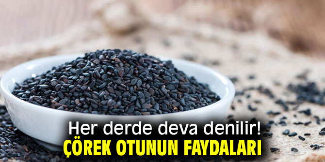 Her derde deva denilir! Çörek otunun faydaları