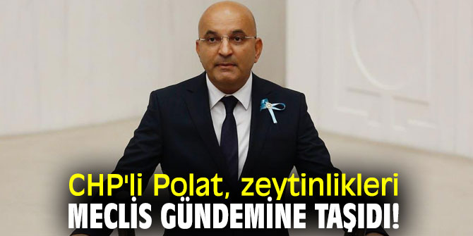 CHP'li Polat, zeytinlikleri Meclis gündemine taşıdı!