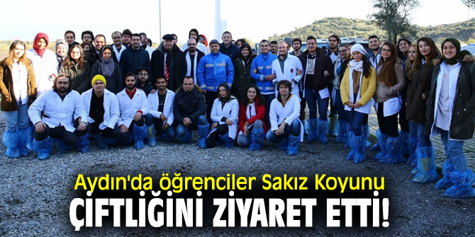 Sakız Koyunu Çiftliğine öğrencilerden ziyaret! 