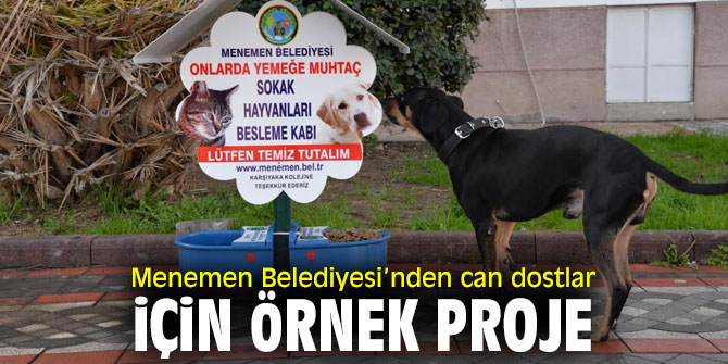 Menemen Belediyesi’nden sokak hayvanları için anlamlı davranış
