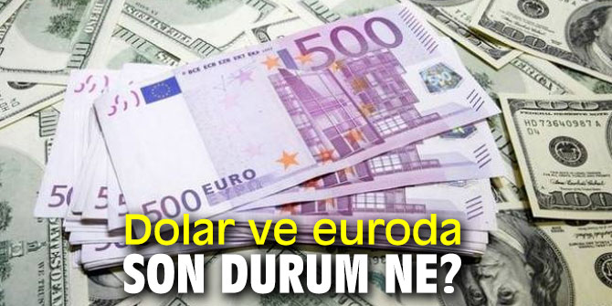 Dolar ve euroda son durum ne?