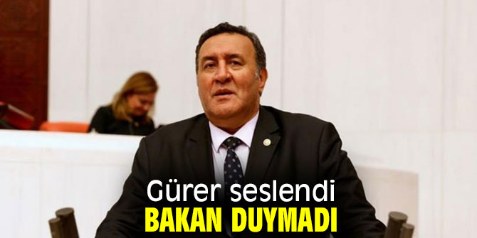 Gürer sordu, Bakan yanıtsız bıraktı!