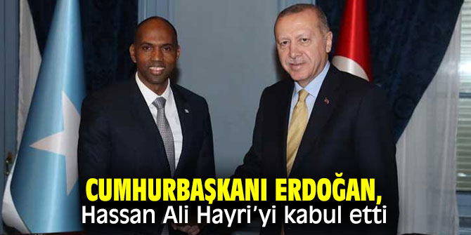 Erdoğan, Hassan Ali Hayri’yi kabul etti
