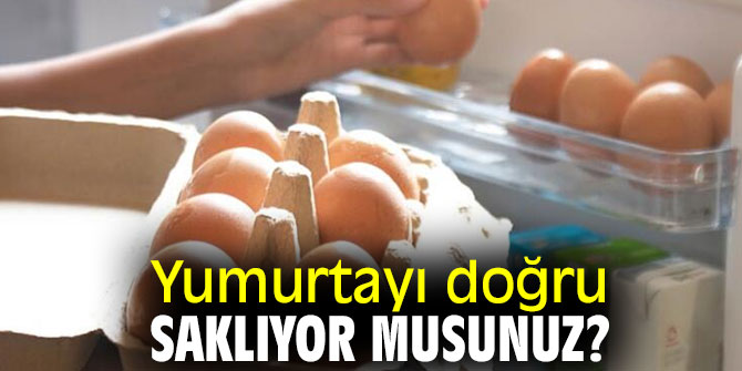 Yumurtayı doğru saklıyor musunuz?