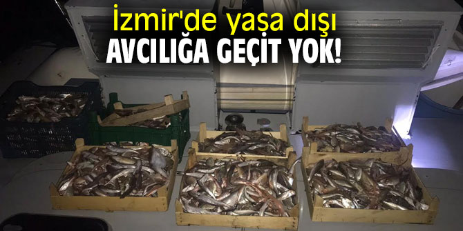 İzmir'de yasa dışı avcılığa geçit yok!