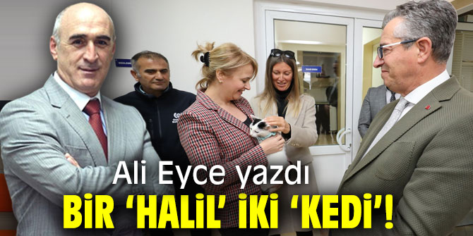Bir ‘Halil’ İki ‘Kedi’!